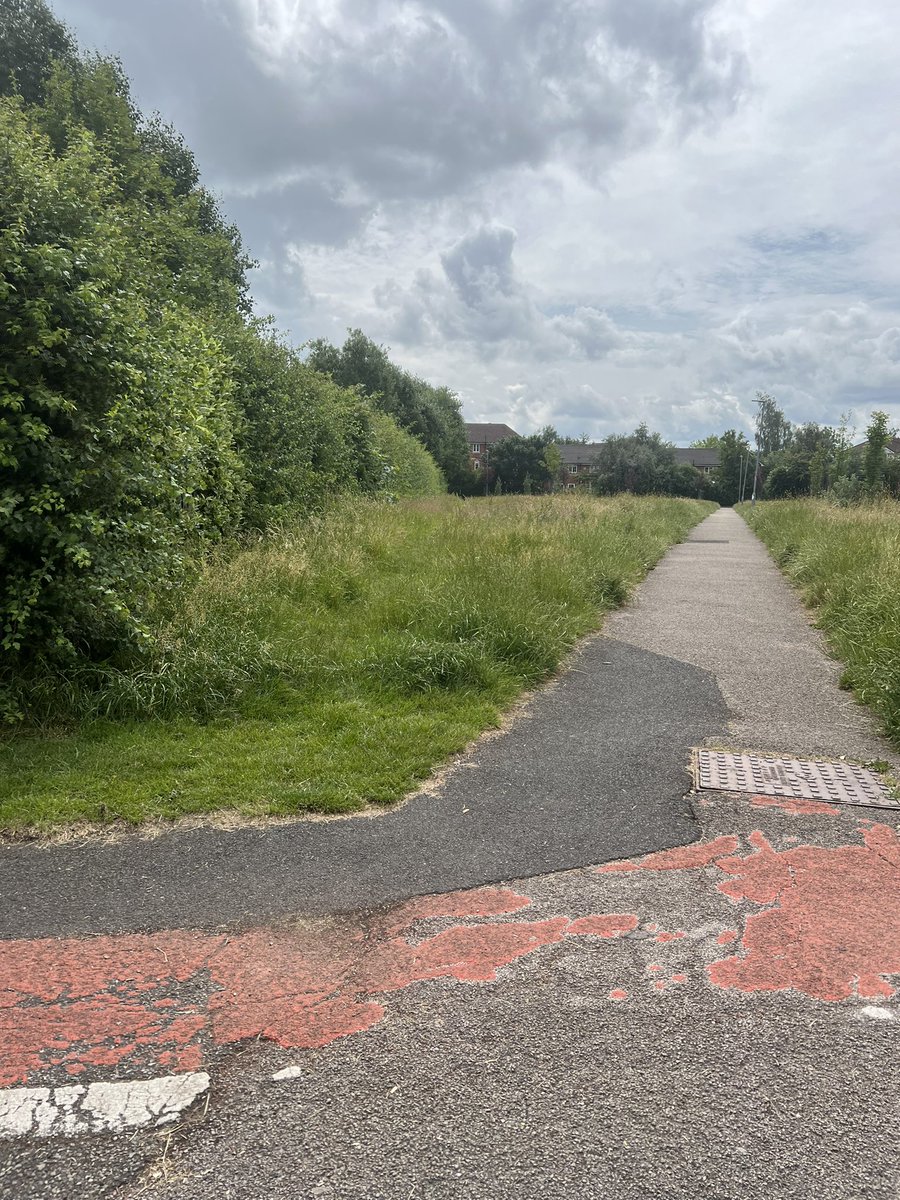 brad harrison tweet media