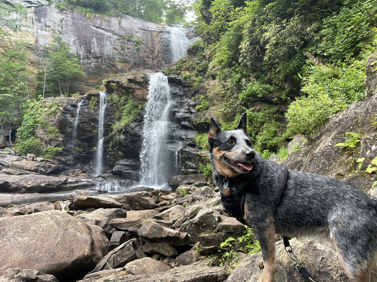 Paddler_Jim_S's tweet photo. Misty and I found a cool trail to see waterfalls https://t.co/JFsb1nw3v7