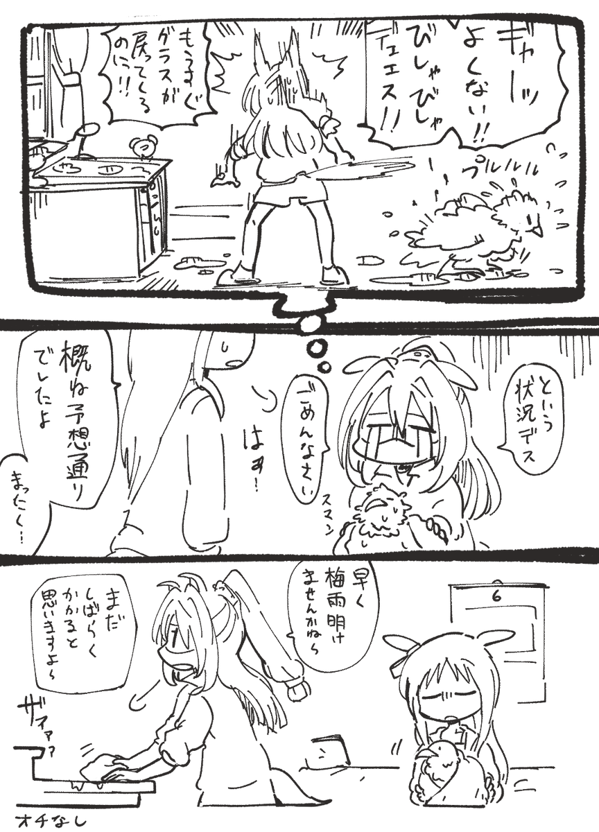 23日 1枚