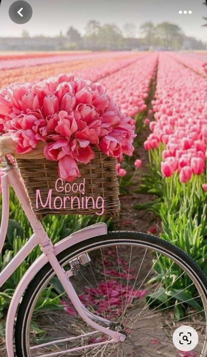 deborah_bucher's tweet photo. Good Friday morning. 🤗🌞 Hoping it's a great day for all of you. Stay safe and be kind. https://t.co/a4ta50fnx5