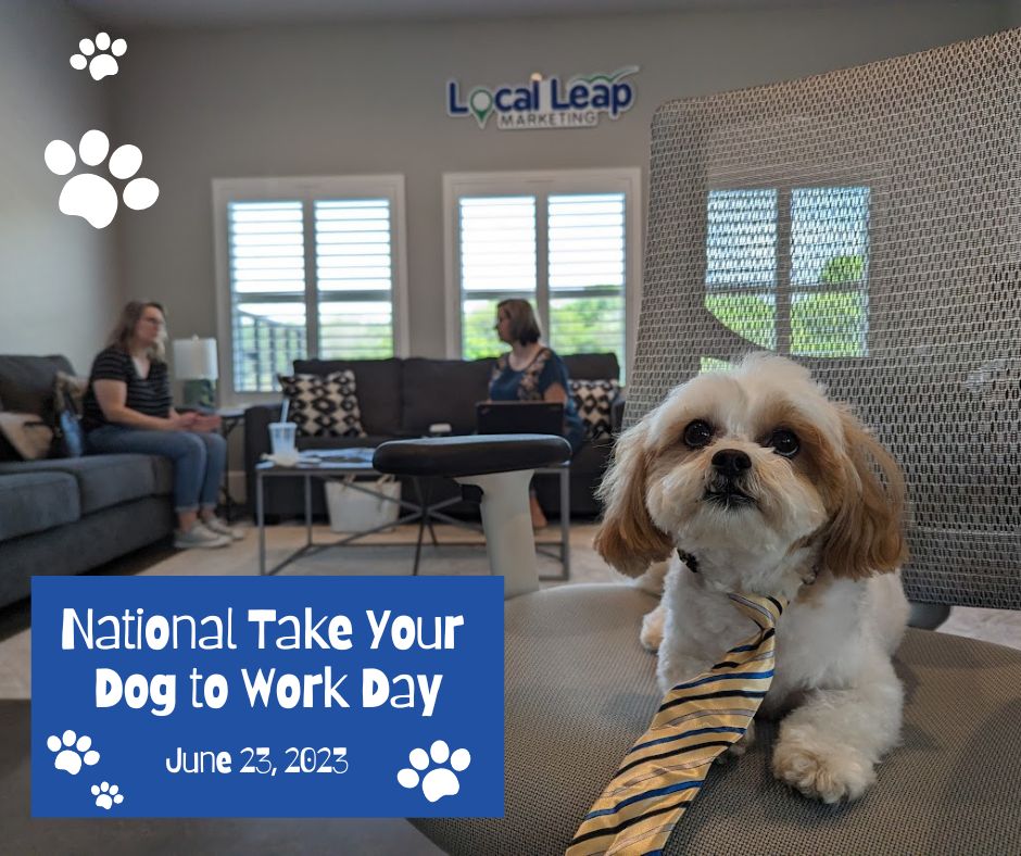It's National Take Your Dog to Work Day!🐶 The Local Leap team does our best work when Tucker is supervising. 
📸 Share a picture of your four-legged coworker and tell us a little bit about them.
#LocalLeap #BringYourDogToWorkDay #FurryCoworkers #DogAtWork #PawsomeColleagues