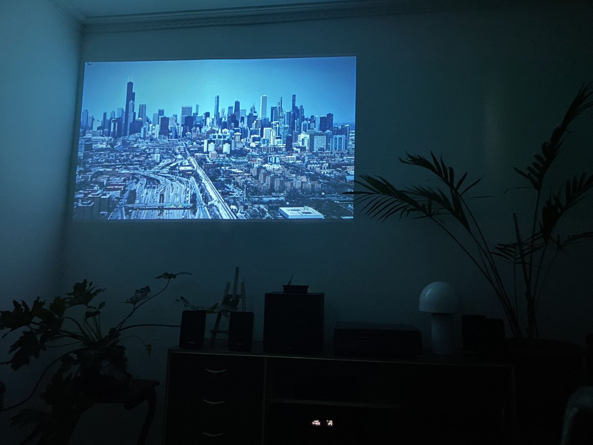 If it’s illegal to do drugs and watch the bear then lock me up