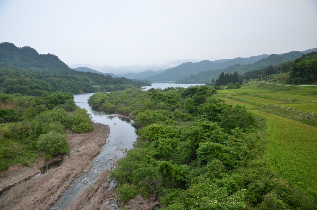 Postdoctoral researcher position😃!
"Consequences of radioactive contamination on forest soil biodiversity and functioning at Fukushima (🇯🇵Japan)"
➡️urlz.fr/mrHI
Please RT! Thank you😃