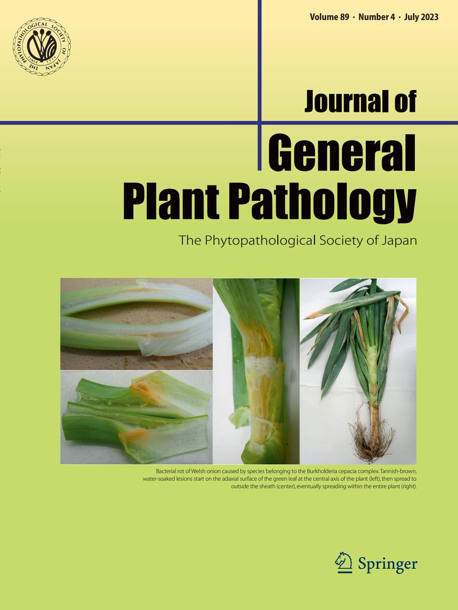 JGenPlantPathol's tweet photo. JGPP July issue🍎🌱🦠💕🧬
https://t.co/SGQAgLByva
You will find #Venturia #Colletotrichum #Pseudomonas #PlAMV #Burkholderia #oomycete #apple #soynean #Allium #sedum #chemotaxis and more!
Non-subscribers can find a four-digit ID in each tweet to request fulltexts via GoogleForm🔓 https://t.co/8YrERgMmze