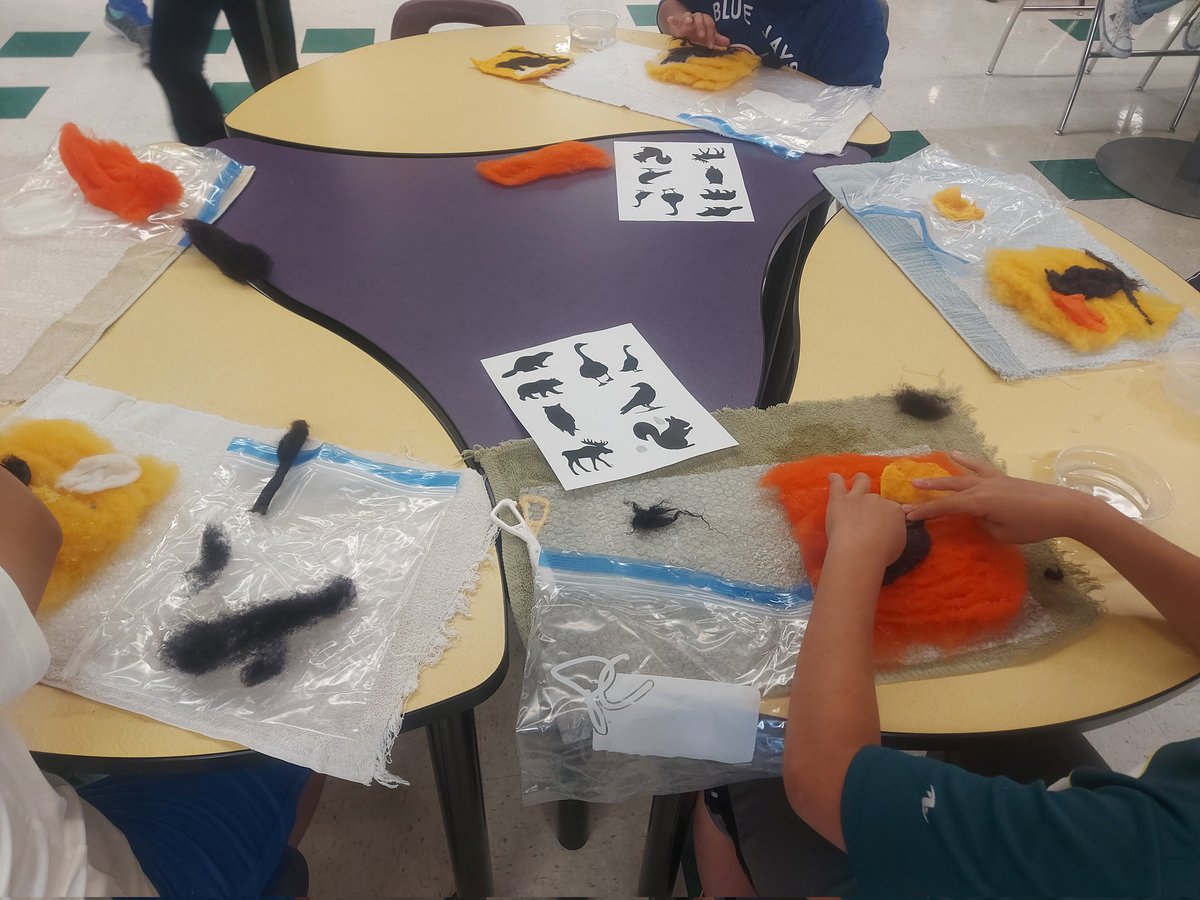 Tracey Bombard tweet media