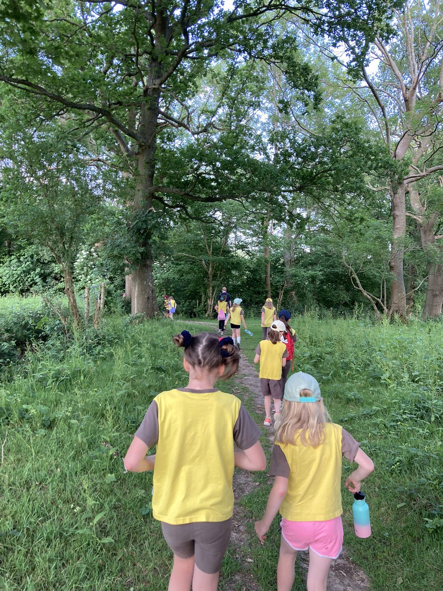 A lovely walk 🥾on @KentDownsAONB as part of the #GrowingUpWild project. Thanks to @OakHall for letting us use your car park. @GGKnoleDivision @guidingkentwest @Guiding_LaSER @Girlguiding @GuidingMembers @RamblersGB @ExploreKent #getoutdoors #summer #inspiregirls