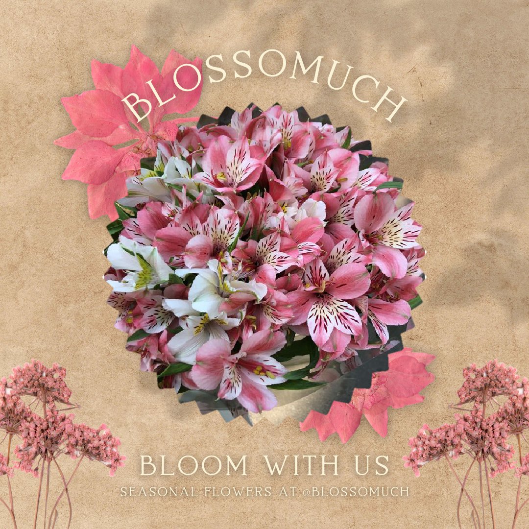 ⠀
⠀ 𓂃𝘽𝙇𝙊𝙎𝙎𝙊𝙈𝙐𝘾𝙃 DELIVERY .ᐟ

dear <a href="/midxnightrn/">Atsuki</a>, @ofiamou <a href="/wideespread/">︎ ︎ ︎ ︎︎ ︎ ︎ ︎𝐥𝐮𝐜𝐢𝒂͟𝐧．</a>, @depateaus, <a href="/felisfusc/">Haruto.</a>, and <a href="/killahired/">Aileen Quinn.</a> , you have received a flower.

note:  sayang kalian semua, terima kasih sudah hadir sebagai keluarga saya.

⠀⠀⠀⠀⠀⠀⠀⠀⠀⠀⠀⠀⠀ 𔓘 Blossomuch
⠀⠀