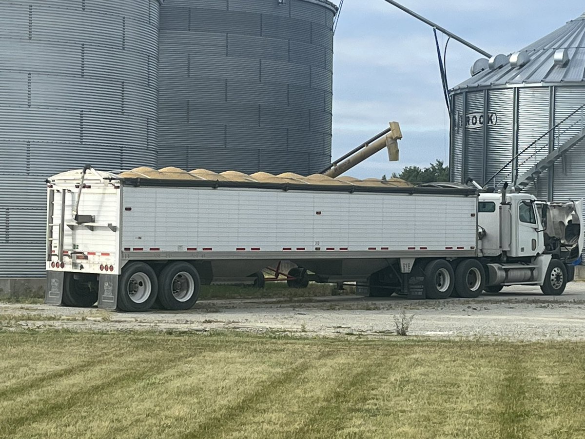 RogerGreeson's tweet image. Left it untarped all night. Left the windows down on both pickups. Still no #rain
#drought