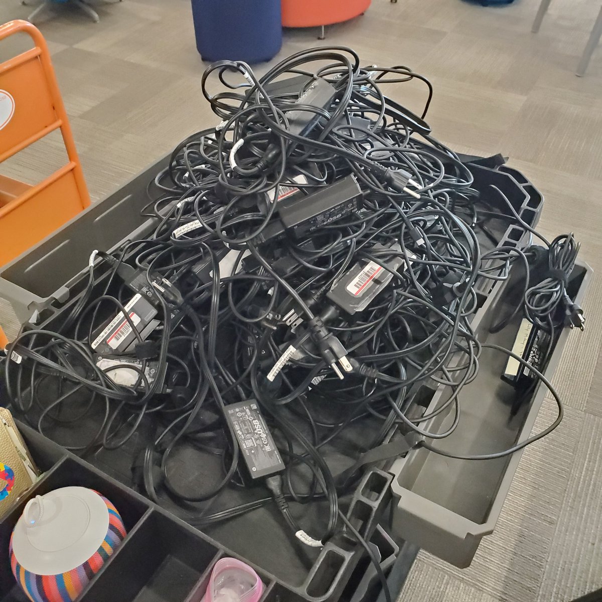 Sue Kowalski tweet media