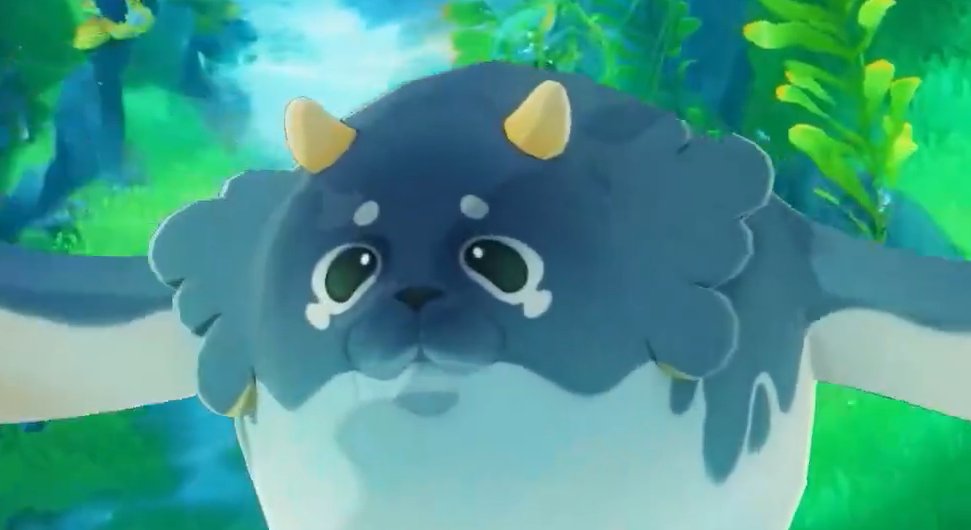 CHONKY