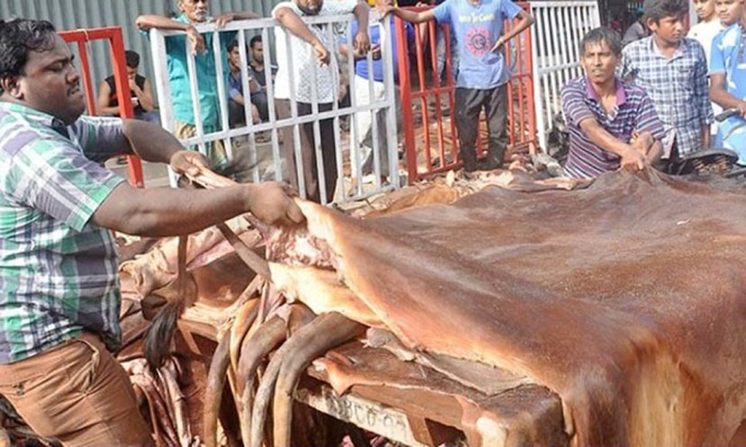 ‘কোরবানির পশুর চামড়া নিয়ে চক্রান্তের বিষয়ে সতর্ক থাকতে হবে’
