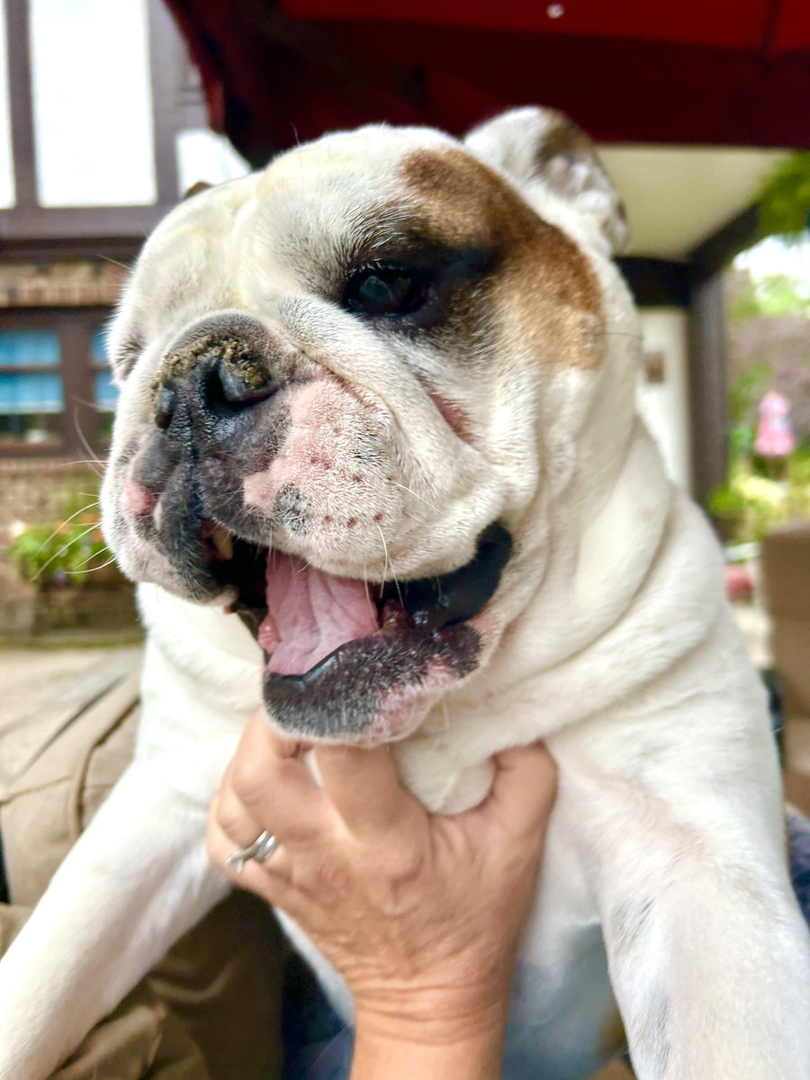 Guess who got second brekkies?!? Now LET’S PLAY Mama!