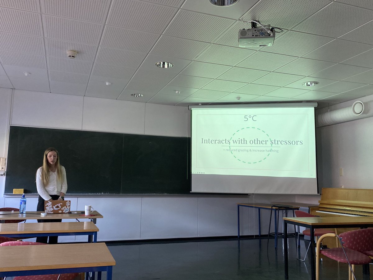 Khuong Dinh tweet media