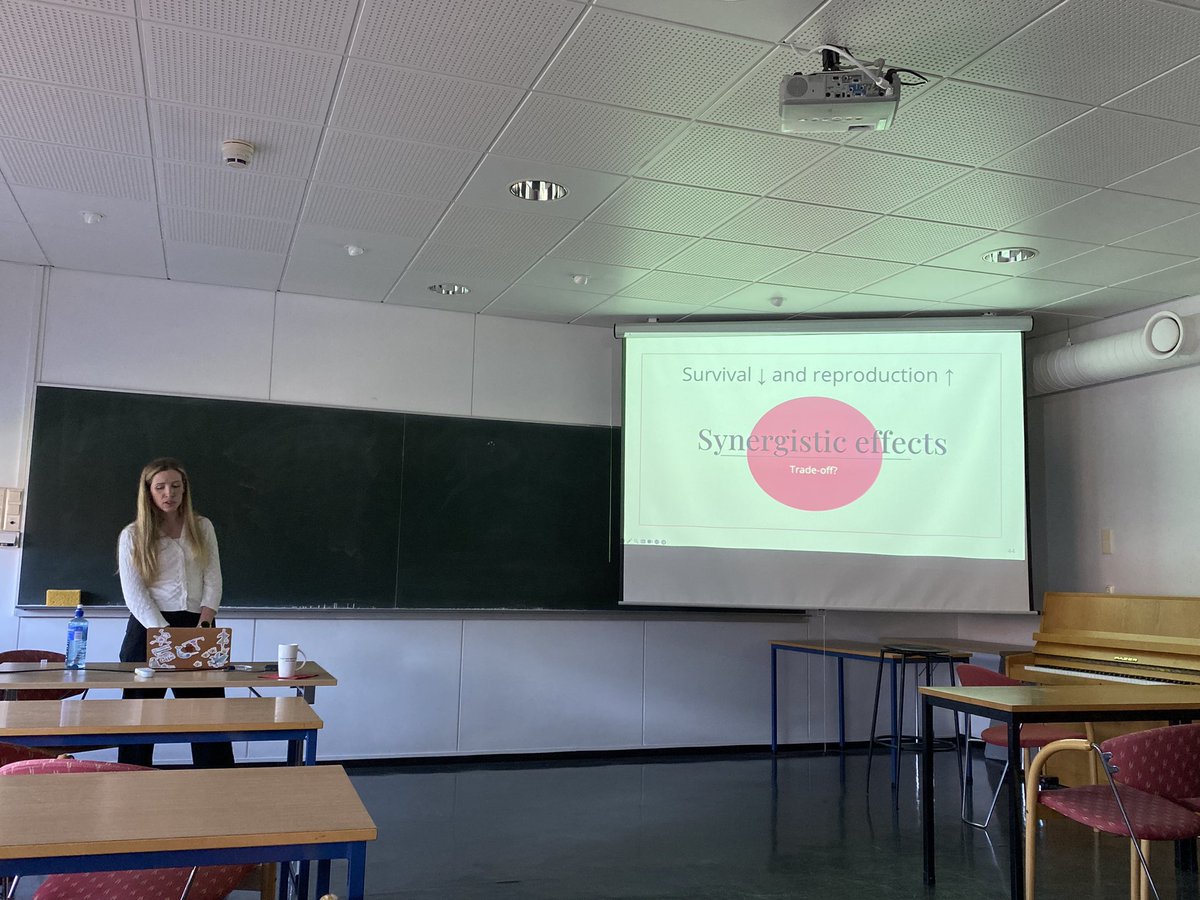 Khuong Dinh tweet media