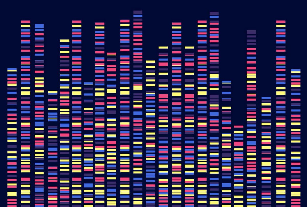 one of the most insidious mistakes in biology is "mistaking the map for the territory". we conflate biological maps (the genome, transcriptome, etc) with underlying biological reality. we are tricked into thinking our tools give us a complete picture. using AI to analyze