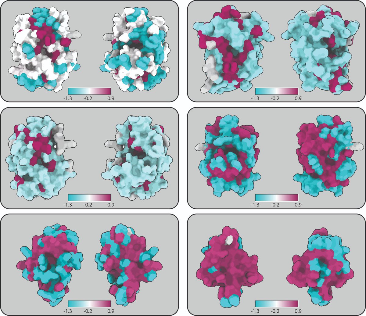 TimothyPJenkins's tweet image. 🔬 Exciting new research from the @CAT4Science at @DTUbioengineer! Our latest paper delves deeper into the active selection of broadly-neutralising #antibodies. Check it out here:
nature.com/articles/s4159…
@DigBioLab @DTUtweet
