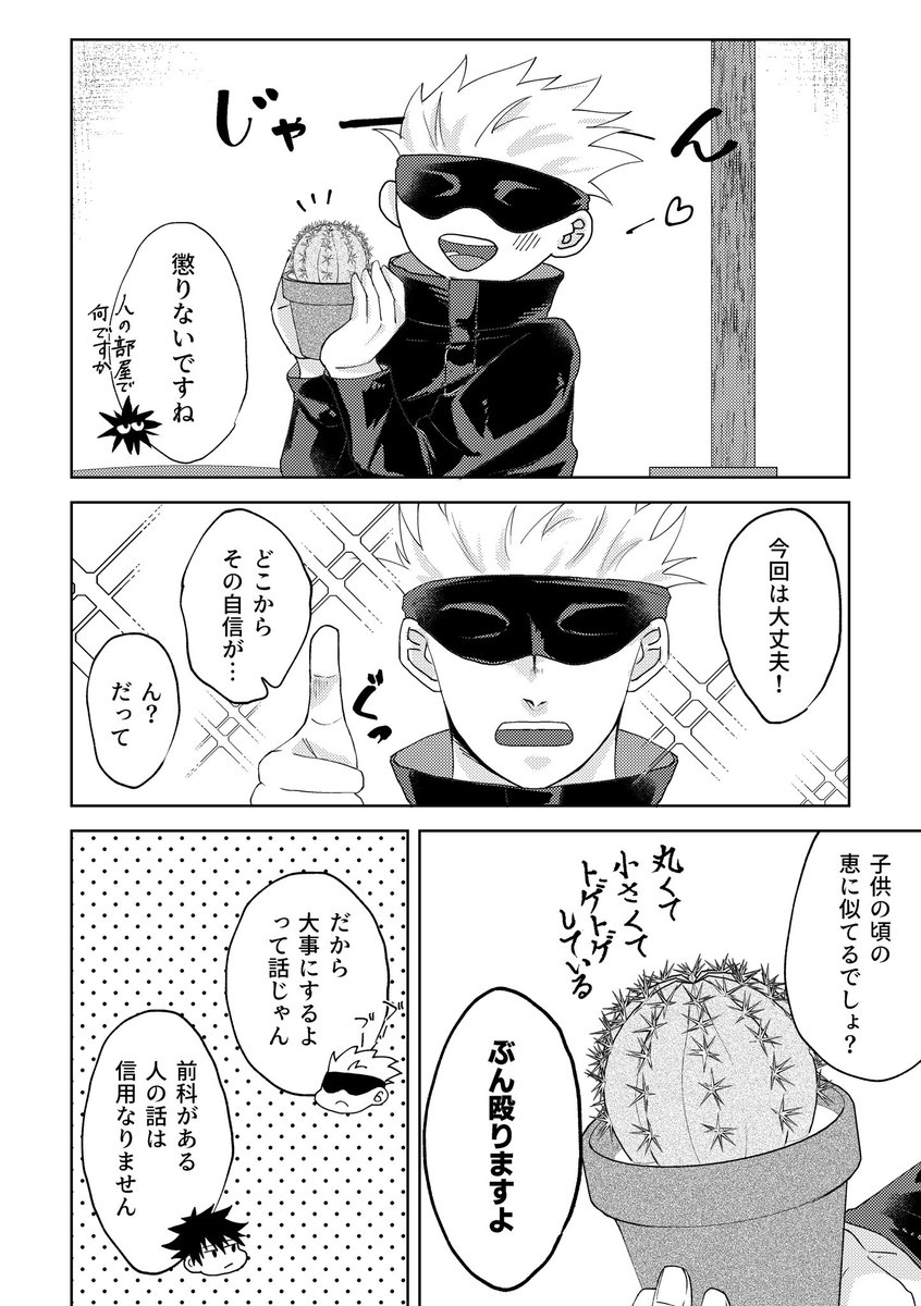 その②
🌵の花言葉は「枯れない愛」!
キンシャチという品種のイメージで「儚い夢」という意味もあります🫶🏻 