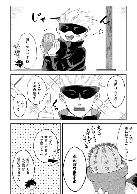 その②
🌵の花言葉は「枯れない愛」!
キンシャチという品種のイメージで「儚い夢」という意味もあります🫶🏻 
