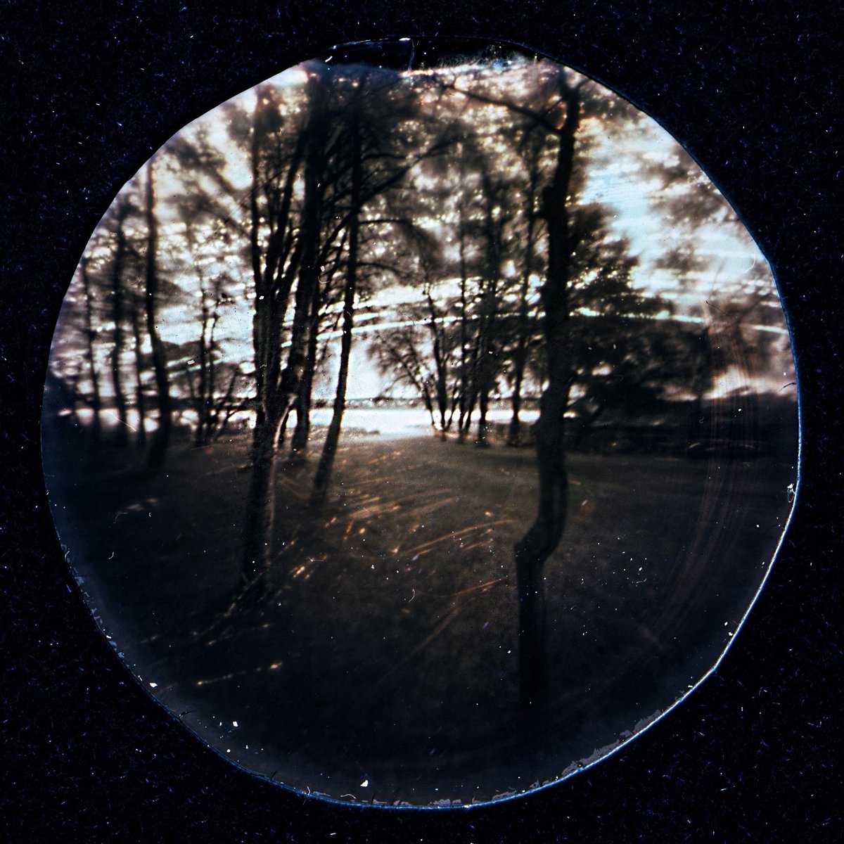 tomafotograaf's tweet photo. These #solargraphs are unconventional photographs, taken with a pinhole camera. We are not accustomed to seeing these kinds of sun paths with our naked eyes. In these images, this unique process beautifully captures into a single solargraph the sun’s slow path across the sky each day for several months. #alternativephotography