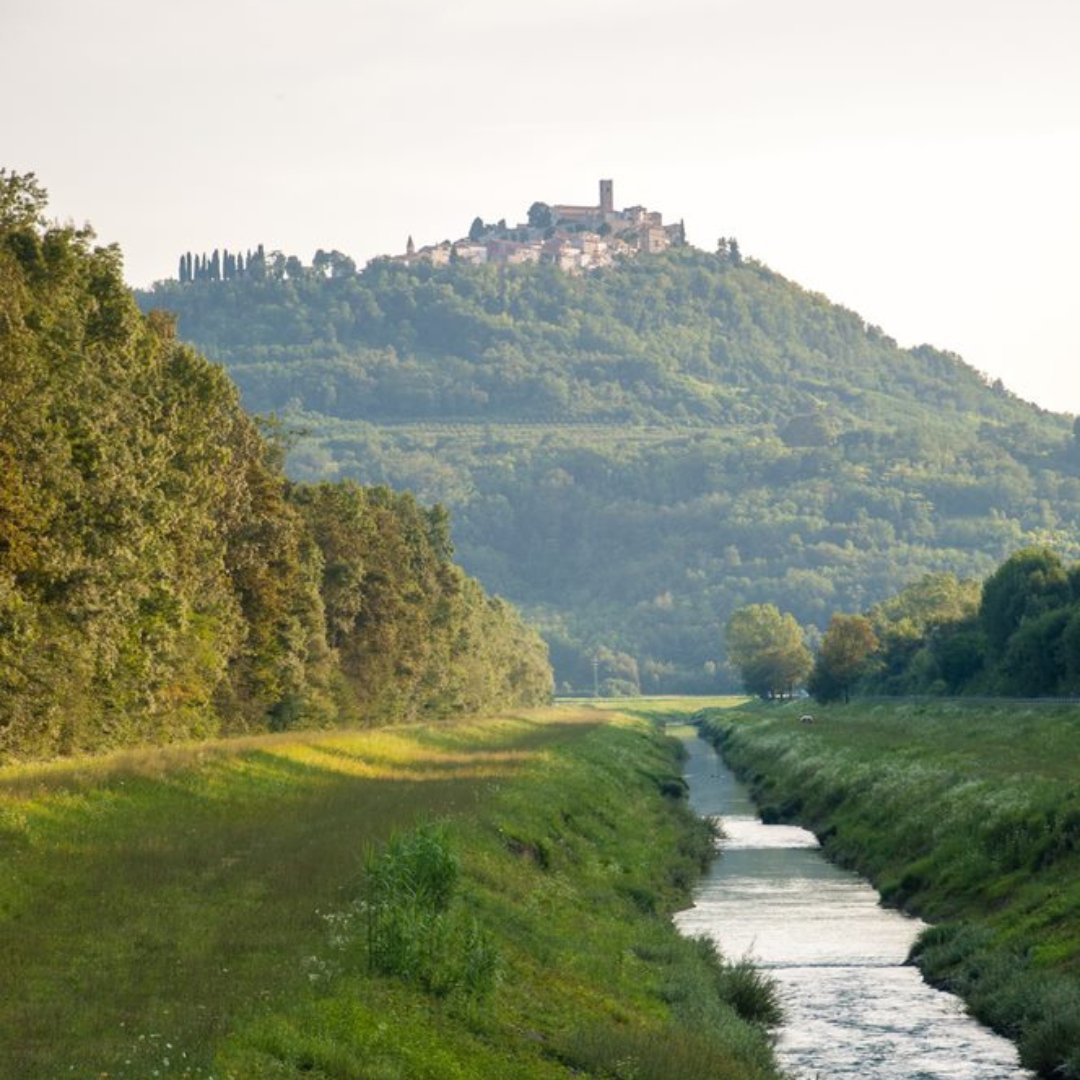 Witness the majestic beauty of #Motovun from afar. 🌄 Its hilltop silhouette proudly graces the #horizon, calling you to discover its #medieval charm. As you draw nearer, the allure intensifies, offering captivating views and a journey back in time. 🏰✨