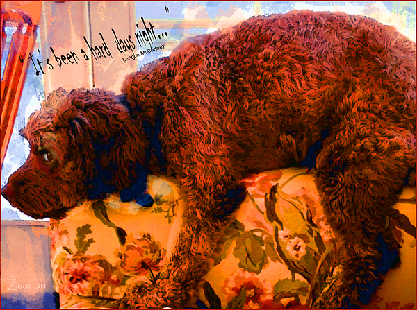 New artwork for sale! - 'Dog of the Hard Days Night' - fineartamerica.com/featured/dog-o… @fineartamerica