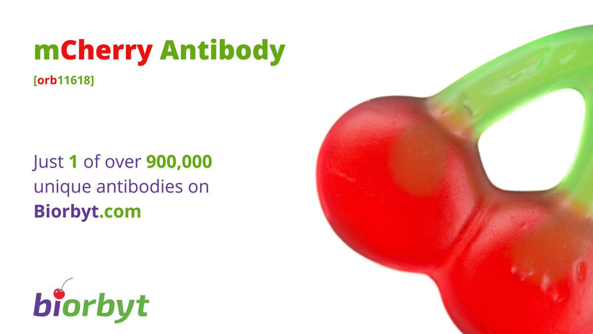 🍒🍒🍒🍒🍒

#lifescience #research #anibodies #biology