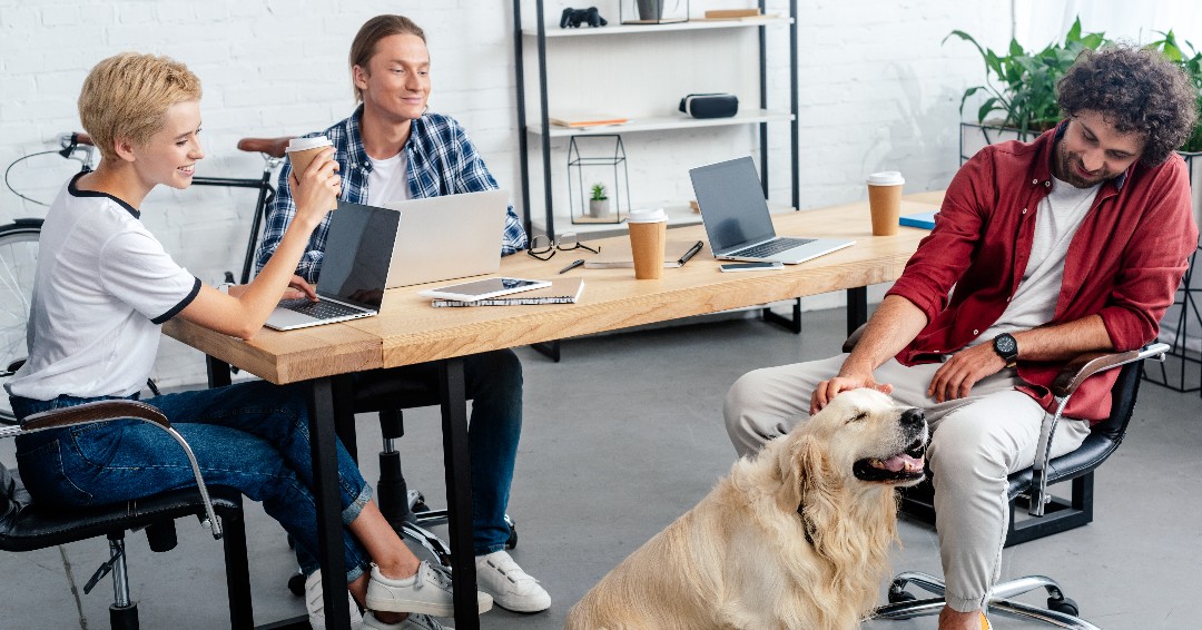 National Take Your Dog to Work Day is today!!! Are you taking your dog into work today or want to learn more? Read our blog this month on the "Key Benefits to Taking Your Dog to Work" here 👉 bit.ly/3P6FX2W

#ChooseEvolve #EvolvePets #TakeYourDogToWork