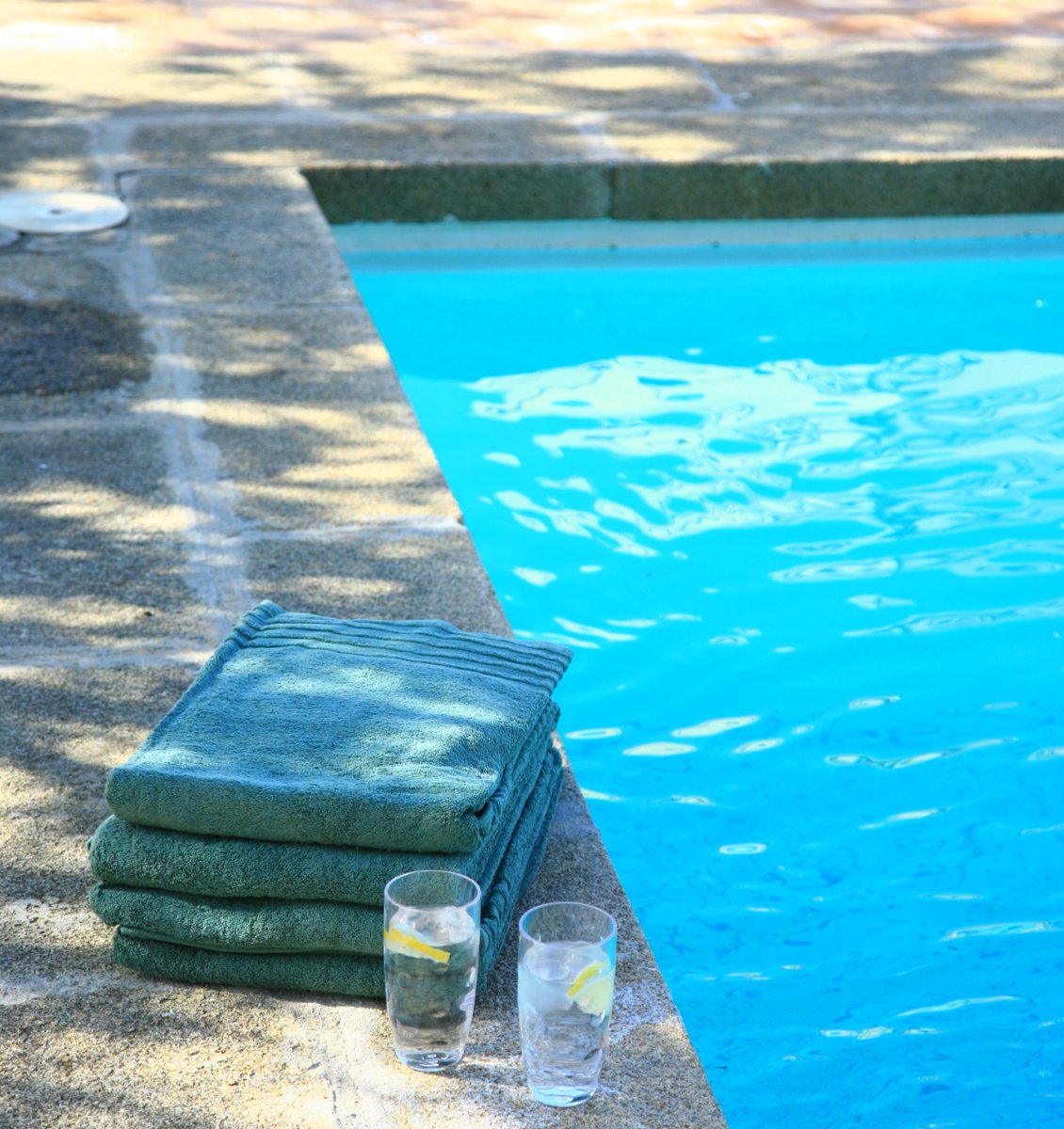 Nosotros nos ocupamos
#valdepalacios #pisicnasenelcampo #dolcefarniente