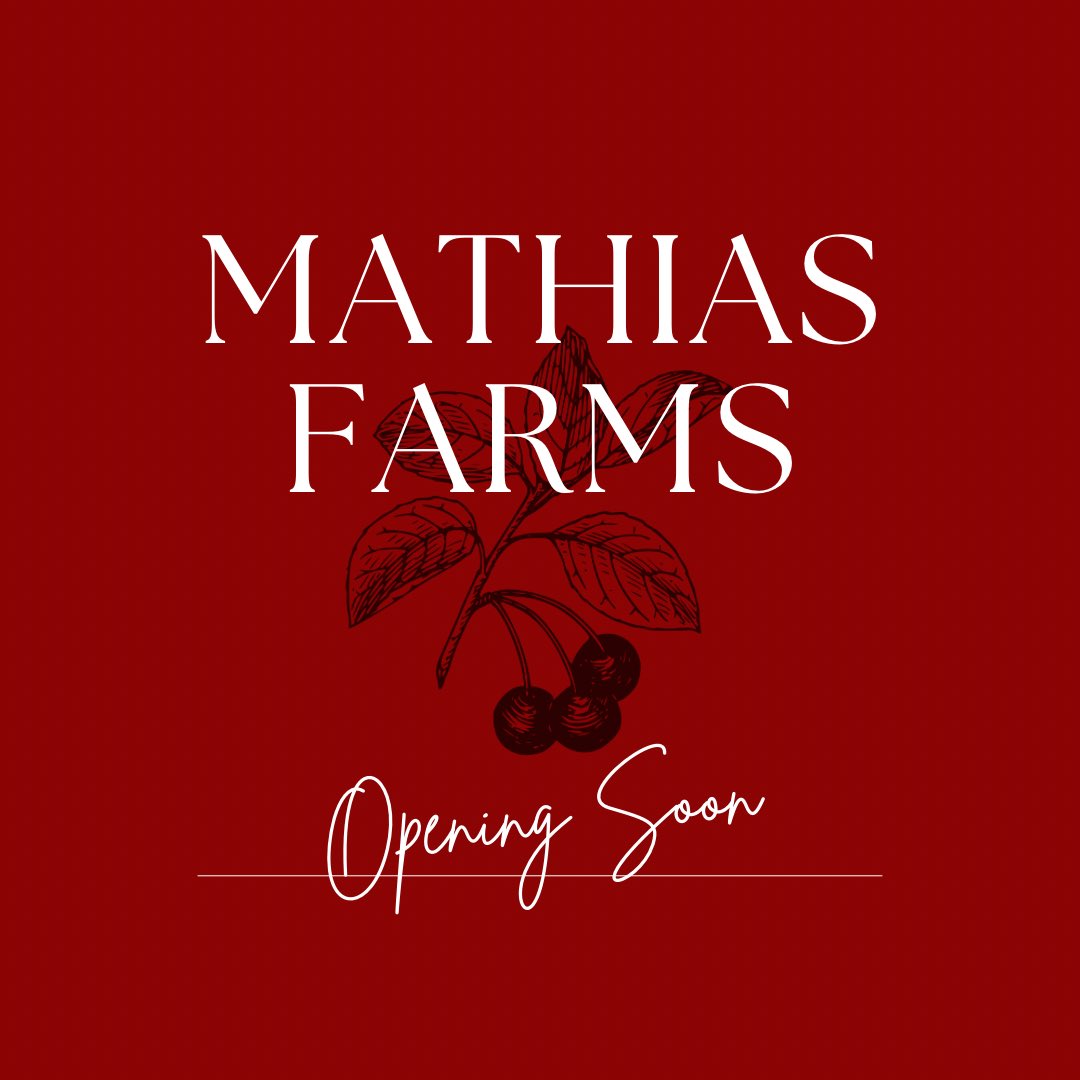 MathiasFarms1's tweet photo. Mark your calendars 📆 Mathias Farms will be opening Monday June 26th for the 2023 season.

Crop predictions and additional info will be posted throughout today and the weekend. Stay tuned! 

#mathiasfarms #niagara #niagarafarm #pyo #fonthill #pelham #mathiasfarmscherryseason2023 https://t.co/7NQVasN9qg