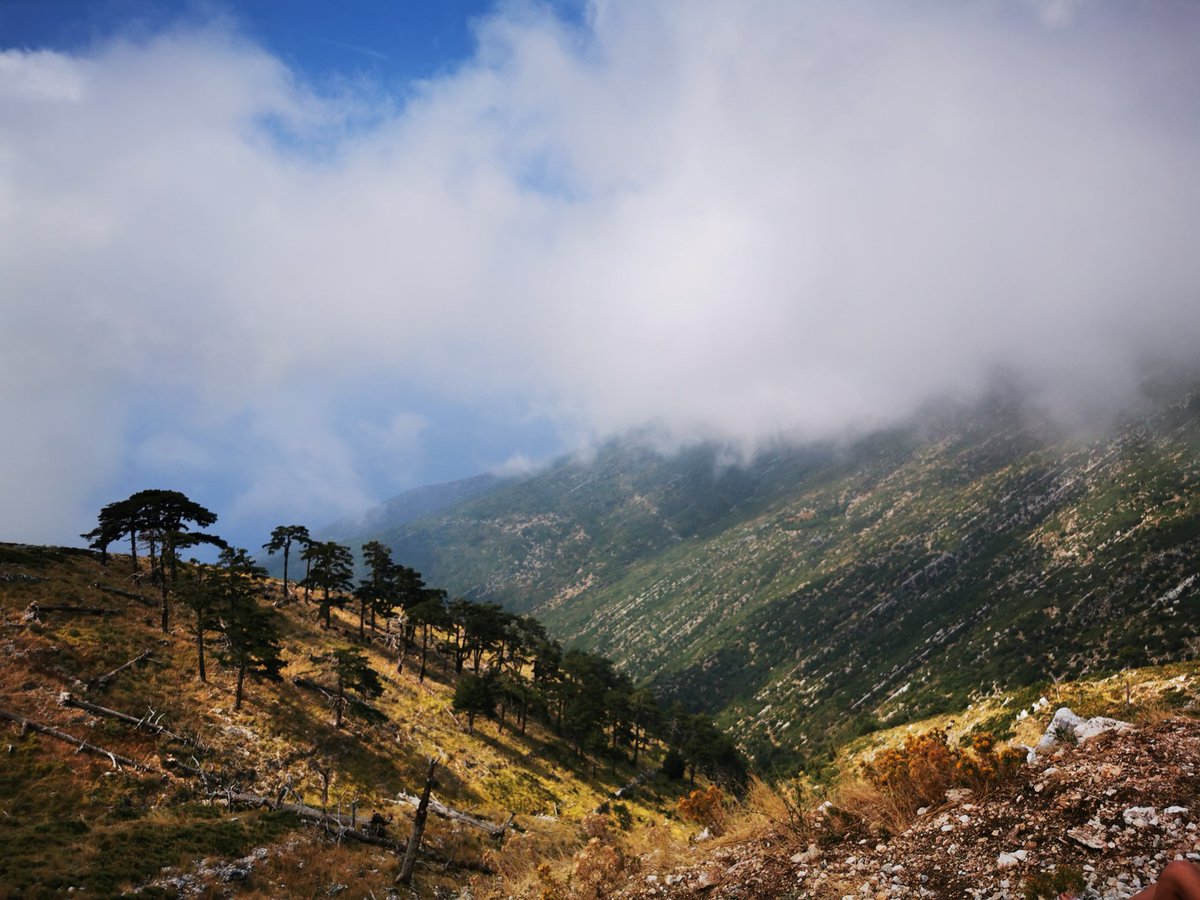doalbanie's tweet photo. Je vedro ☀️Chce se to ochladit u moře. Nebo v horách ⛰️ Tady to můžeme vzít jedním vrzem 🙃
Nedávno jsem tu psal o budované zkratce v podobě tunelu. Takto to vypadá nad ním. Llogar přejíždíte přes hodinu.
A tam dole v dáli začíná 🇦🇱 riviéra. Z té fotky později 😉 #llogara https://t.co/EDXPu2ZmJS