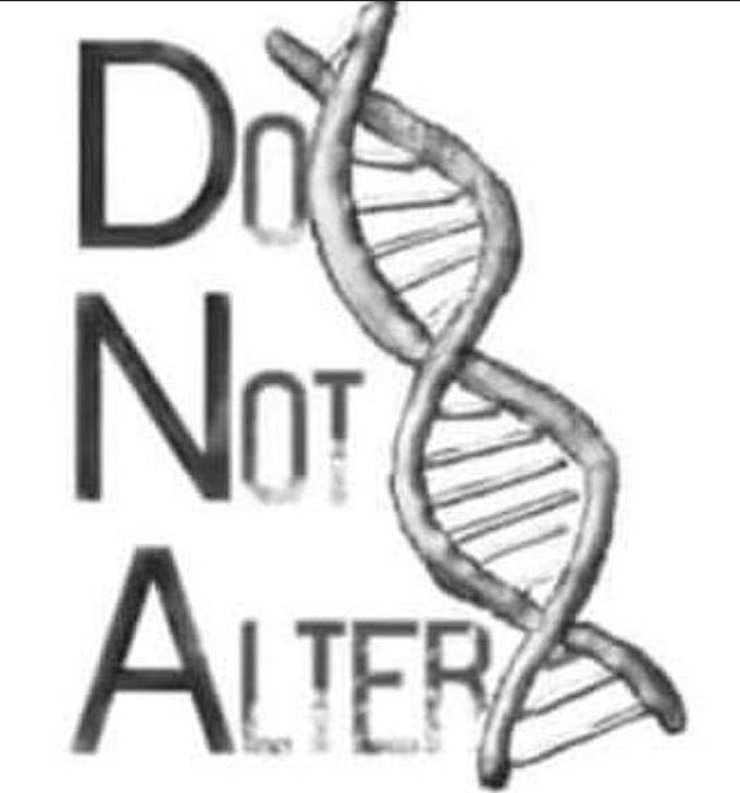 Iowa_1776's tweet photo. #unvaxxed #unaltered #pureblood https://t.co/GjoiT8wPaT
