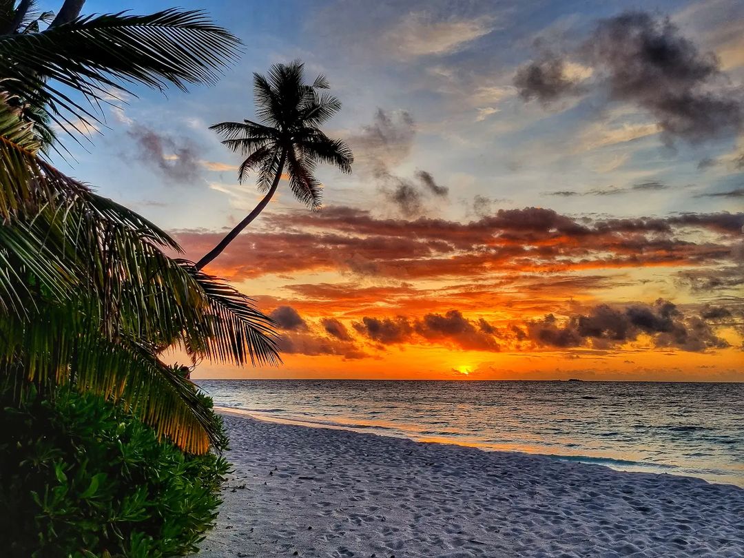 Sunset you never want to miss!⁠⠀
Who would you like to be here with?⁠ 🌅😍
.
#Maldives #DiscoverFilitheyo #ILoveFilitheyo #FilitheyoIslandResort #Wonderful #VisitMaldives #IndianOcean #Sunrise #Sunshine #SunBath #Takeabreak #Paradise #SunsetView #SunsetLovers #Sunset_Hub