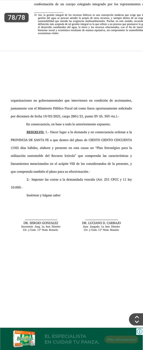 PaloOliver's tweet photo. #RecursoItícola
Estamos felices!, después de 3 años de presentado un recurso en el marco  de la Ley 10.000 de intereses difusos, la Justicia santafesina determinó que el @GobSantaFe debe implementar en 150 días un "Plan  sustentable para la utilización del recurso itícola. 1/3 https://t.co/rqW81lfn4e