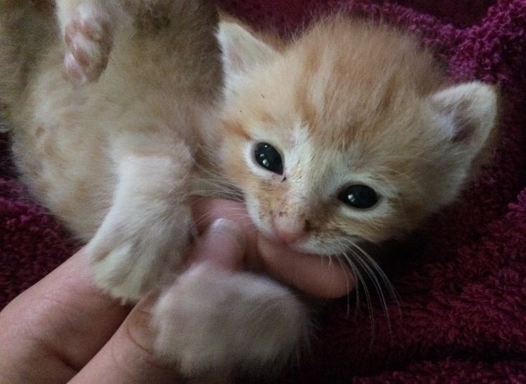 h. hey  , Sotp  dat ! : ,! munnch .!