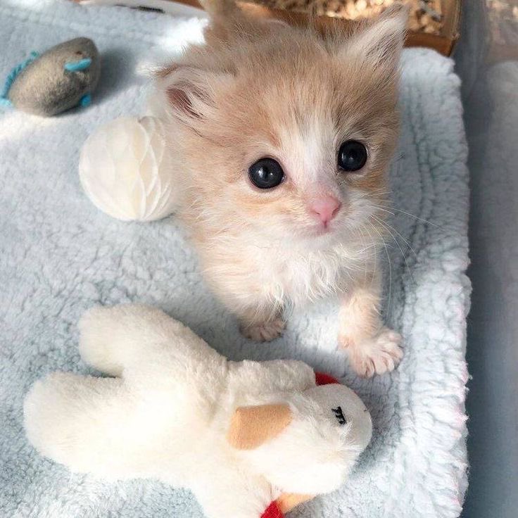 wut  , ummsnmc . iT wansnt mie .!!,! :0