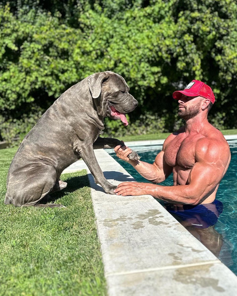 Bradley Martyn tweet media