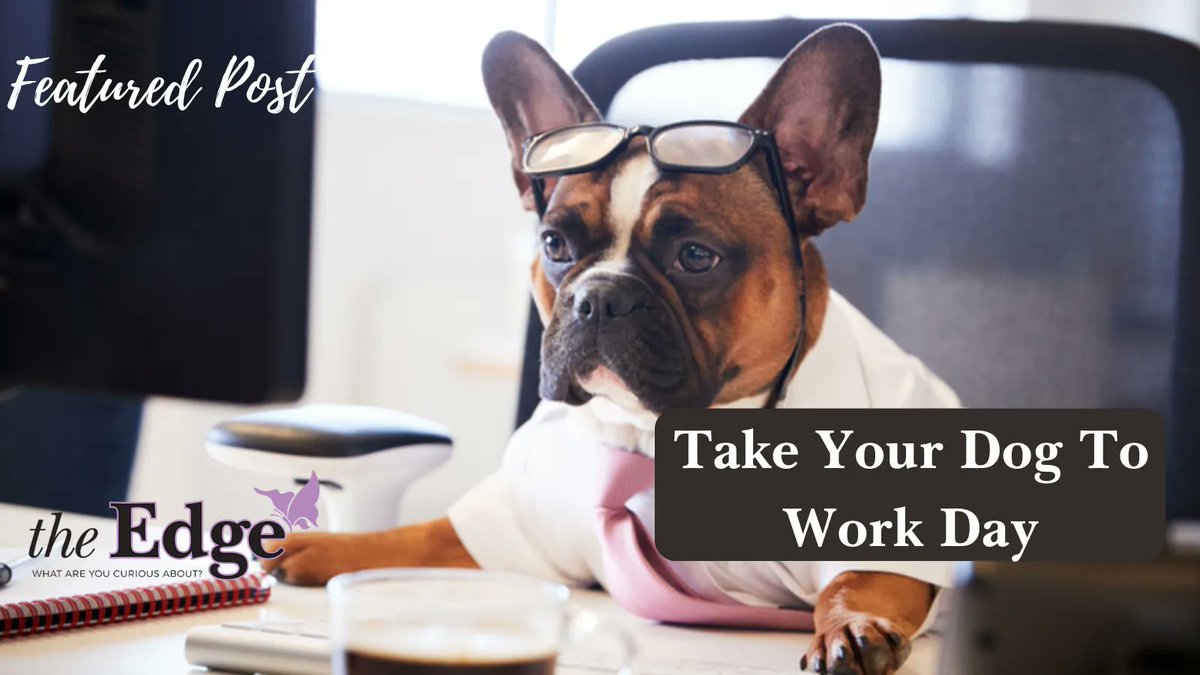 theEdgeMagazine's tweet image. Happy #TakeYourDogToWorkDay! 🐶❤️ Share the adorable snapshots of your furry colleagues in action! We're curious to see your paw-some companions bringing joy to your workspace. #DogAtWork #FurryColleagues #WorkplaceWag #TheEdgeMagazine