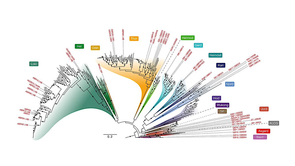 Astrobiology tweet media