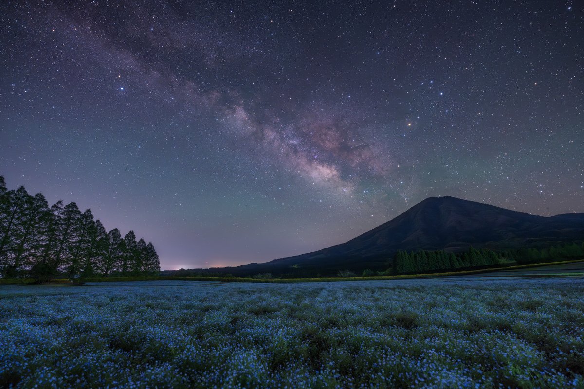 SIGMA America on Twitter "Images by Japanese photographer Kagaya with