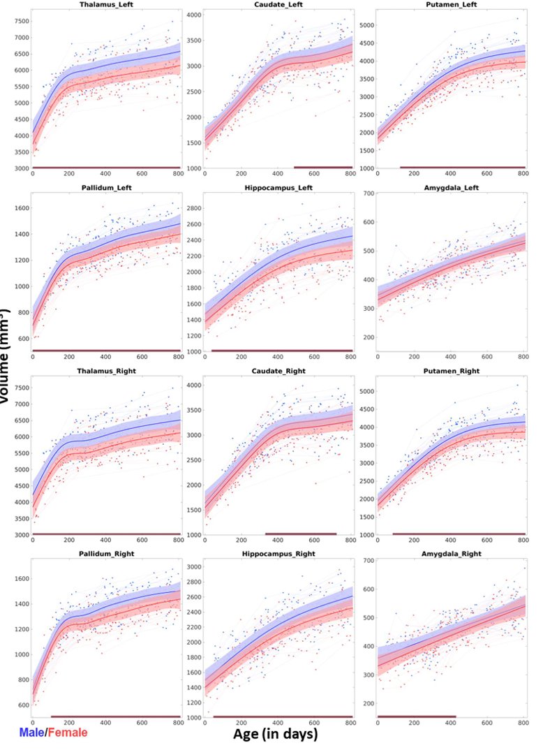 cremieuxrecueil's tweet image. A new paper shows sex differences in subcortical brain region development from birth to about two years of age.

Modest sex differences are visible from ~day 0 and all regions undergo swift, nonlinear growth after birth, except for amygdalar volumes, which linearly increase.