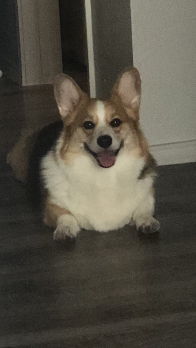 Aaron Campbell tweet media