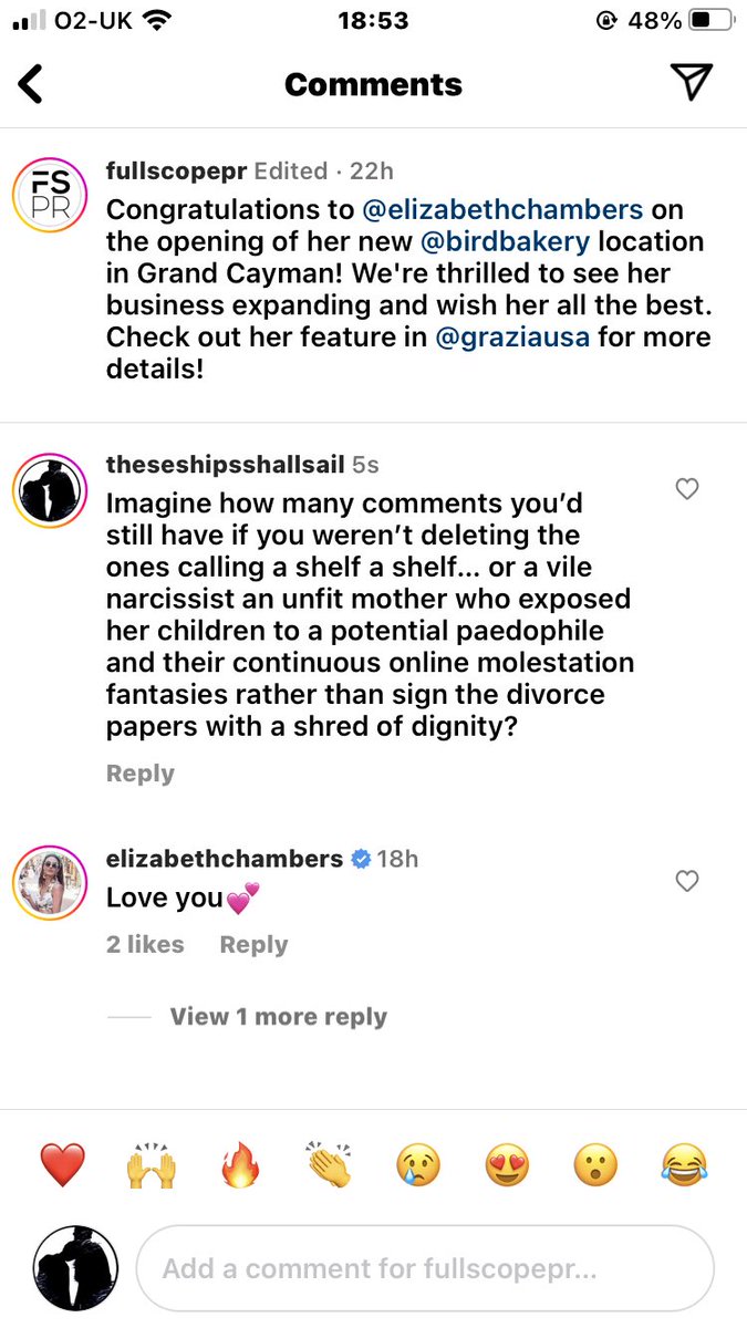 That awkward moment when your pathetic PR piece gathers 14 likes and 3 comments, and 1 is from yourself 🤡 #elizabethchambers #ArmieHammer