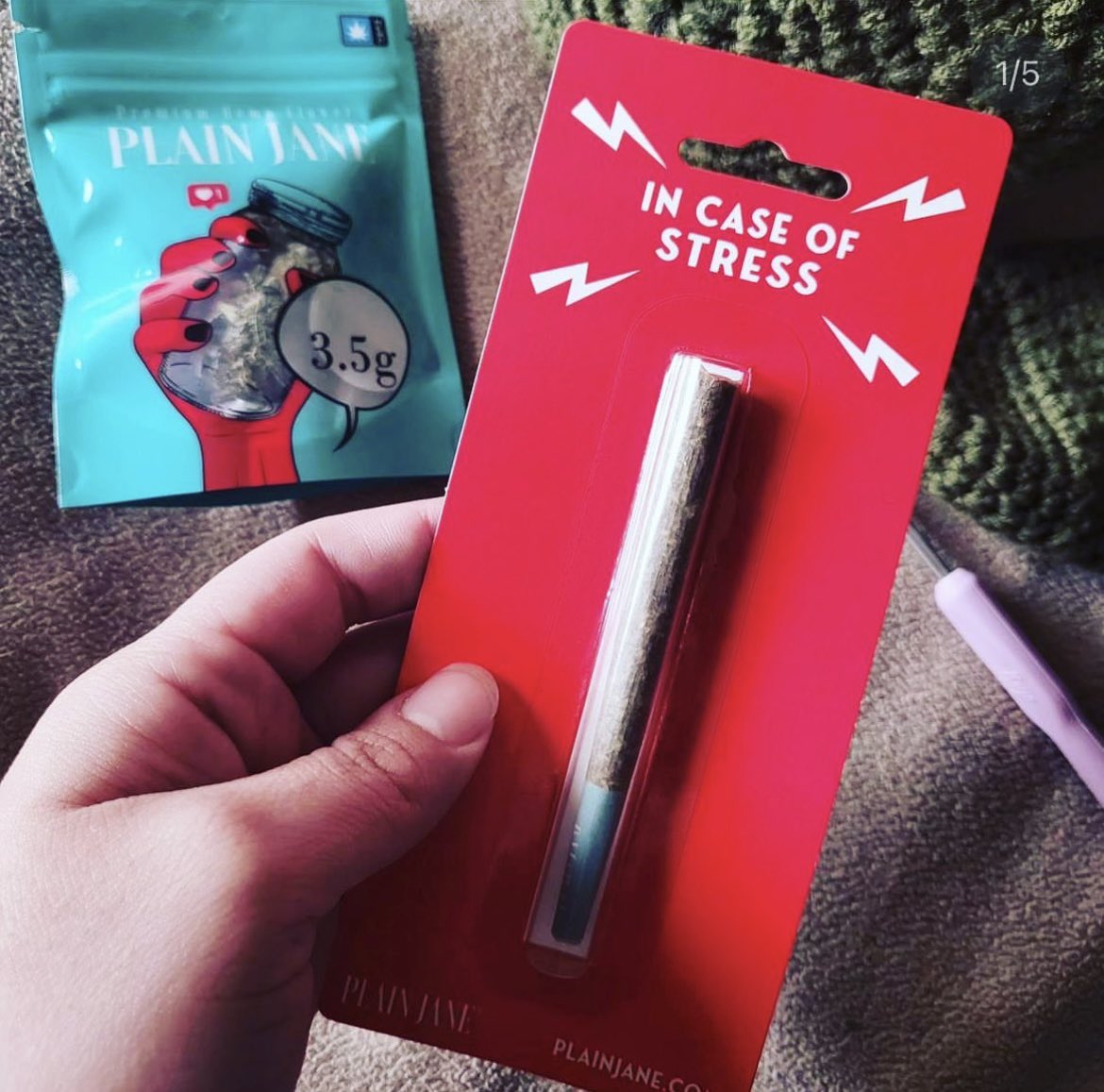 PlainJane tweet media