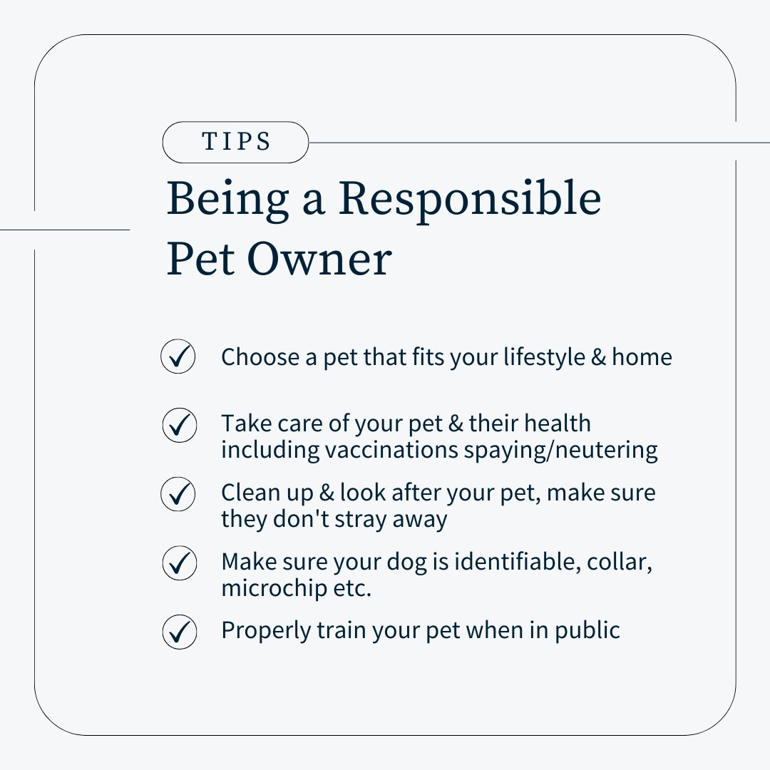 Here are some tips to help YOU be a responsible pet owner. Taking responsibility of your pet is important to protect yourself and others. 🐕  #takingresponsibility #petowner #tips