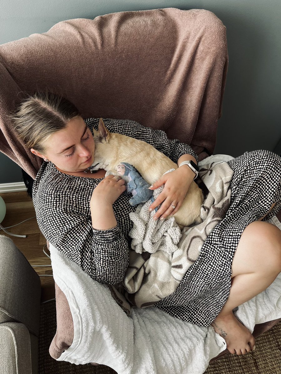 Tanja Ísfjörð tweet media