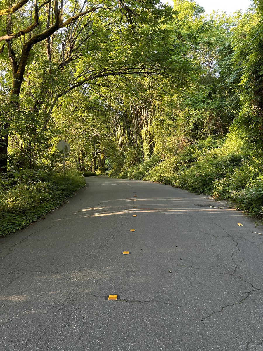 Good morning! Another beautiful Friday to celebrate. #carpediem #seizetheday #power 💪🏻 #energy ⚡️ #focus 👀 #morningworkout #fridaymood #fridaymotivation #morningride #cycling #cyclinglife #seattle #pnw #caffè ☕️ #proteinsmoothie #cacao #blueberries 🫐#fridayvibes #espresso