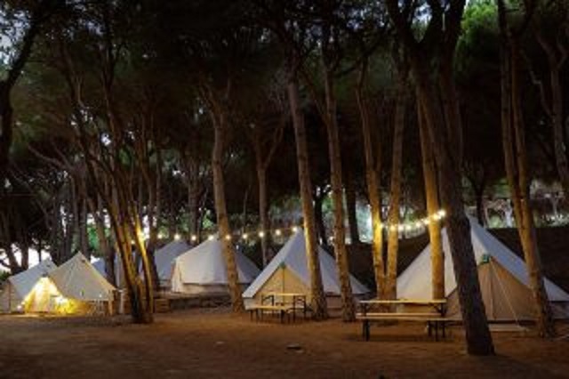 El Mirador de Andalucía (@elmiradorcsr) on Twitter photo Casi 4 días de estancia media en los campings andaluces en abril, auguran un verano de récord. En <a href="/ElMiradorCSR/">El Mirador de Andalucía</a> John Hansen, gerente de la Federación de Campings de Andalucía. En tiempo de economía⏰20:45 con <a href="/nbarnes68/">natalia barnes</a> <a href="/jasazdm/">Jose Antonio del Saz DM</a> y <a href="/eneltejado/">Manuel Ángel Martín</a>📻n9.cl/tiv2u▶️ Casi 4 días de estancia media en los campings andaluces en abril, auguran un verano de récord. En <a href="/ElMiradorCSR/">El Mirador de Andalucía</a> John Hansen, gerente de la Federación de Campings de Andalucía. En tiempo de economía⏰20:45 con <a href="/nbarnes68/">natalia barnes</a> <a href="/jasazdm/">Jose Antonio del Saz DM</a> y <a href="/eneltejado/">Manuel Ángel Martín</a>📻n9.cl/tiv2u▶️