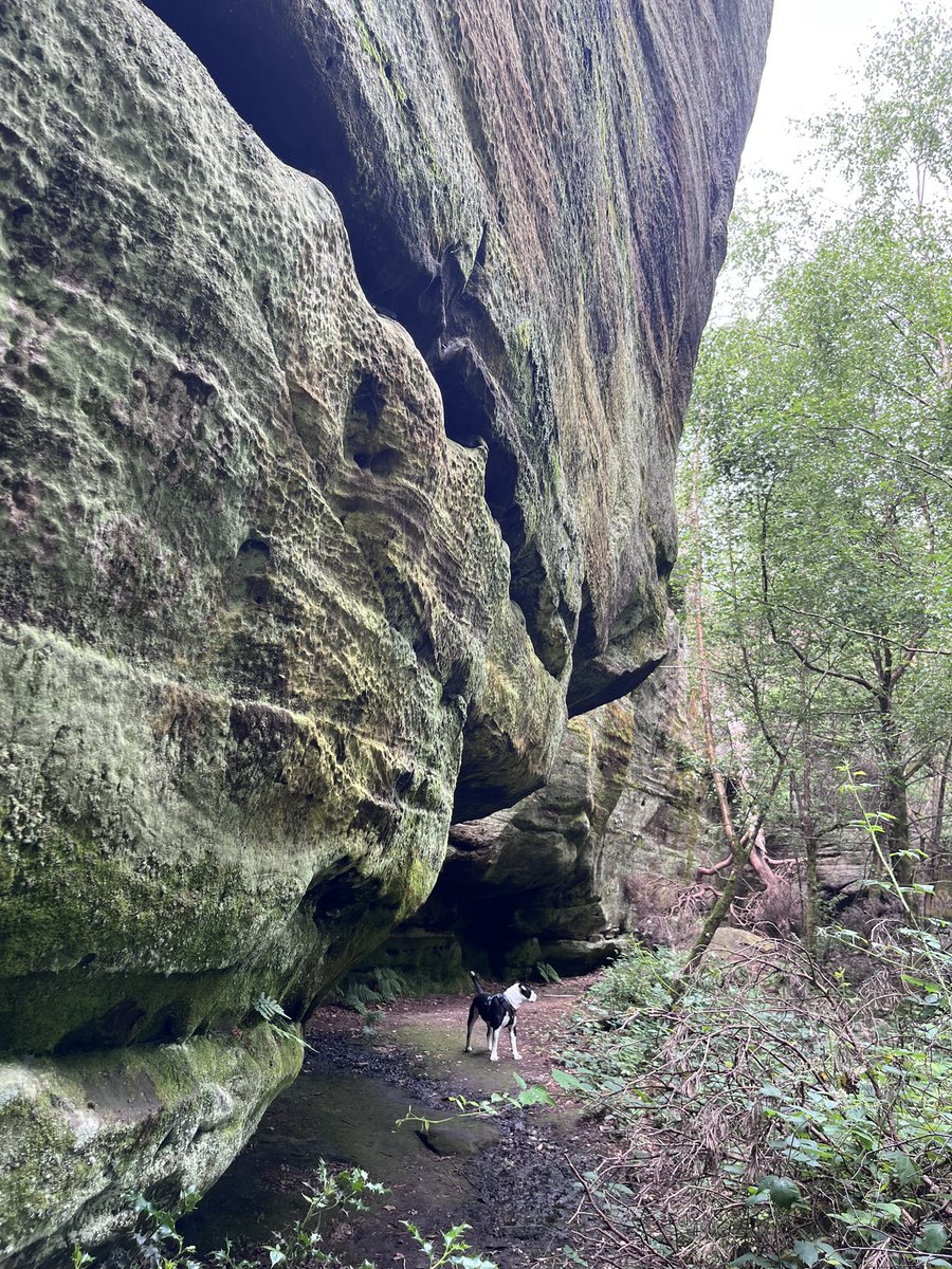 Lottie LaLay on Twitter: