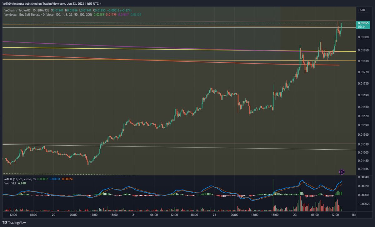 Ready for more send!

#SendIt #ThePriceIsWrong 

#VeChain #VeFam $VET