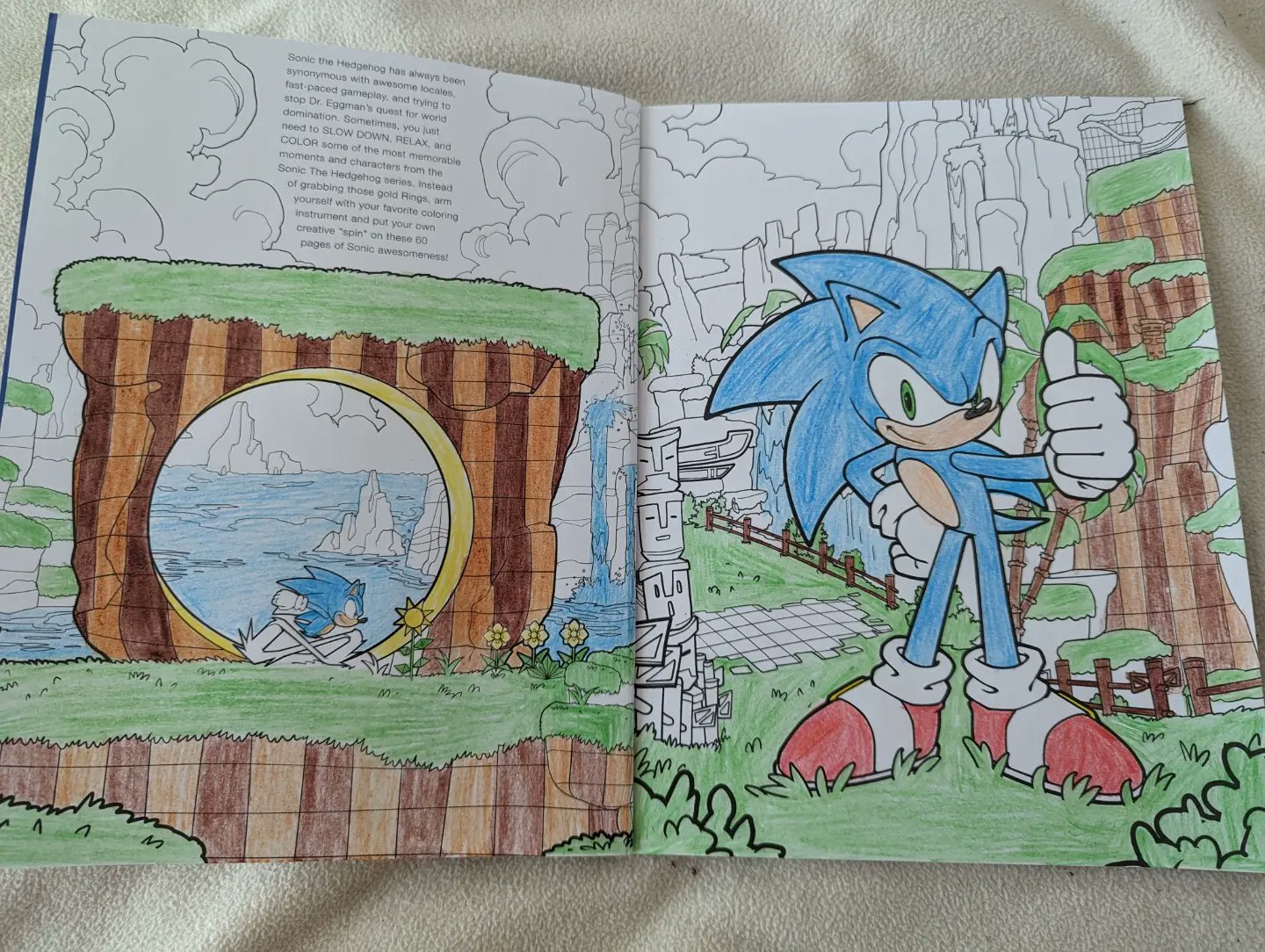 Sonic the Hedgehog: The Official Coloring Book